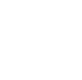 NM1911